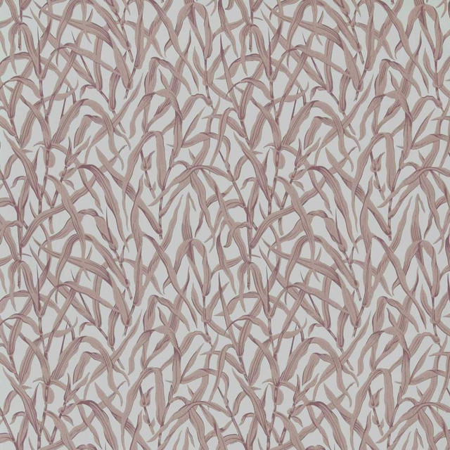 1838 Wallcoverings Wallpaper Ornamental Grasses (Wp) # 03 Rose V&A DECORATIVE PAPERS III STRAIGHT PASTE THE WALL UNITED KINGDOM V-21" 20.5"X11YD - My Fabric Connection -