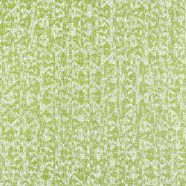Thibaut Fabric Calista Kiwi W81716 Fabric U.S.A </p><p>Repeat: H: 4.75 in (12.06 cm), V: 5.25 (13.34 cm) 53 in (134.62 cm) - My Fabric Connection - Thibaut Fabric Calista Kiwi W81716 Fabric U.S.A </p><p>Repeat: H: 4.75 in (12.06 cm), V: 5.25 (13.34 cm) 53 in (134.62 cm) - My Fabric Connection -