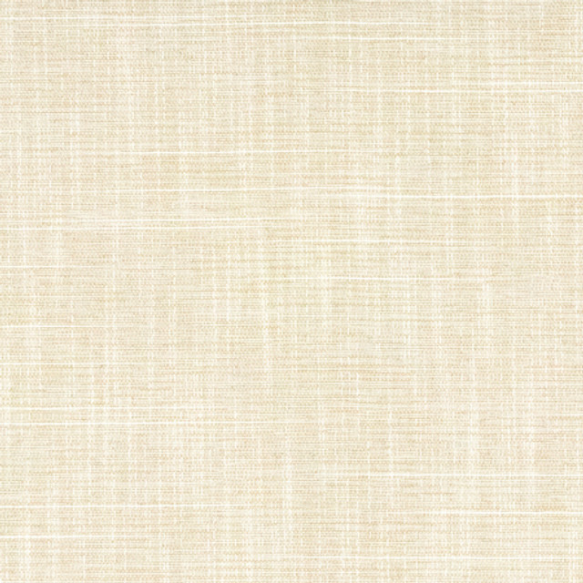 Carole Fabric Big Thinker Bisque Power Play 100% Polyester N/A None 55" - My Fabric Connection -