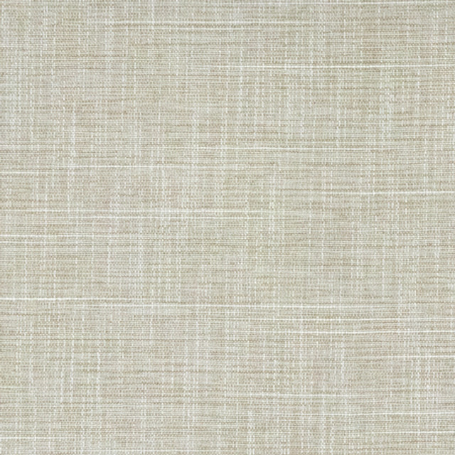 Carole Fabric Big Thinker Oyster Power Play 100% Polyester N/A None 55" - My Fabric Connection -