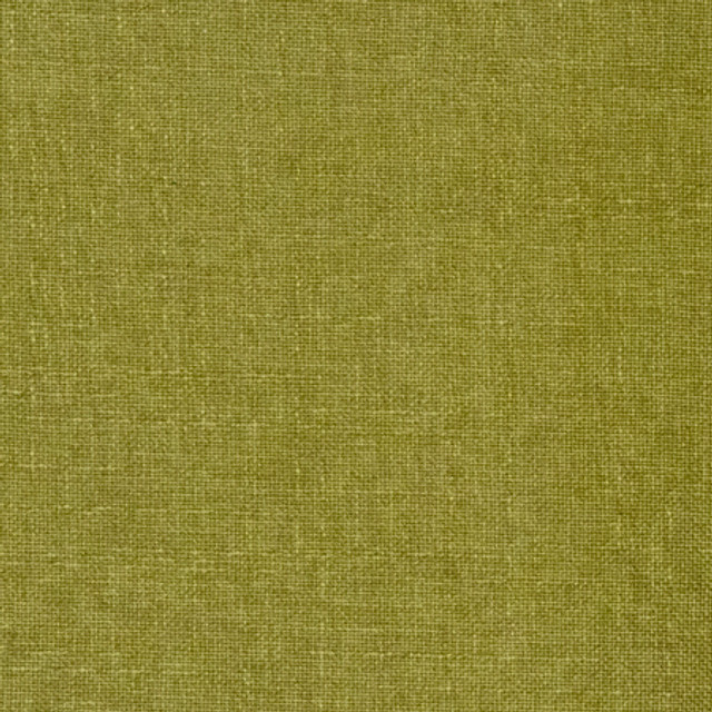 Carole Fabric Business Casual Cactus Power Play 100% Polyester 100,000 Wyzenbeek Double Rubs None 54" - My Fabric Connection -