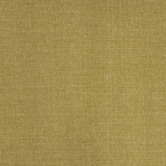 Carole Fabric Communication Olive Power Play 100% Polyester N/A None 58" - My Fabric Connection -