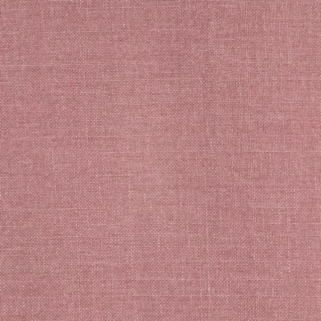 Carole Fabric Communication Rose Power Play 100% Polyester N/A None 58" - My Fabric Connection -