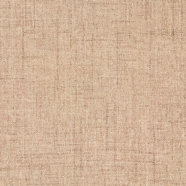 Carole Fabric Gusto Musk Power Play 100% Polyester N/A None 55" - My Fabric Connection - Carole Fabric Gusto Musk Power Play 100% Polyester N/A None 55" - My Fabric Connection -