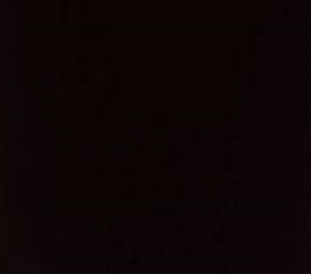 Norbar Fabric Luxor Black LUXOR 100% COMBED COTTON INDIA 54 - My Fabric Connection -