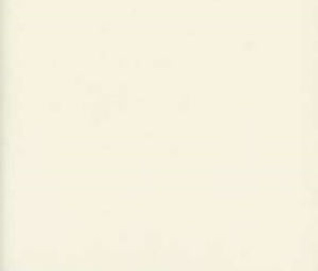 Norbar Fabric Luxor Cream LUXOR 100% COMBED COTTON INDIA 54 - My Fabric Connection -