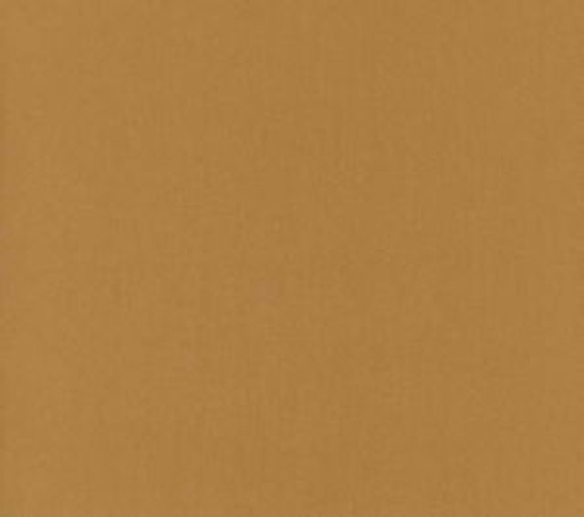 Norbar Fabric Luxor Goldenrod LUXOR 100% COMBED COTTON INDIA 54 - My Fabric Connection - Norbar Fabric Luxor Goldenrod LUXOR 100% COMBED COTTON INDIA 54 - My Fabric Connection -
