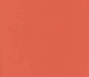 Norbar Fabric Luxor Salmon LUXOR 100% COMBED COTTON INDIA 54 - My Fabric Connection -