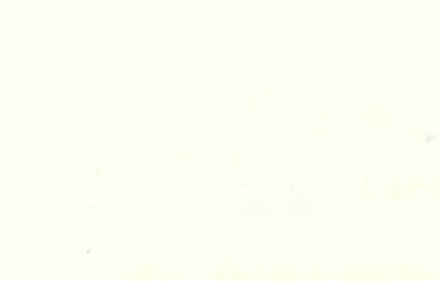 Norbar Fabric Okin Pearl OKIN 100% POLYESTER INDIA 54 - My Fabric Connection - Norbar Fabric Okin Pearl OKIN 100% POLYESTER INDIA 54 - My Fabric Connection -
