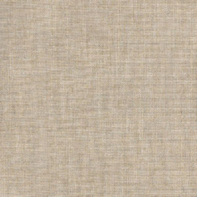 Norbar Fabric Rave Beige OKIN 100% POLYESTER INDIA 54 - My Fabric Connection -