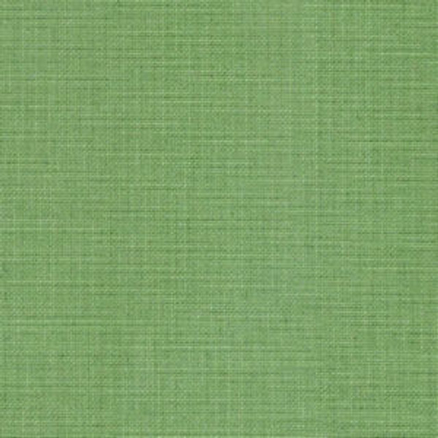 Norbar Fabric Rave Stem OKIN 100% POLYESTER INDIA 54 - My Fabric Connection -