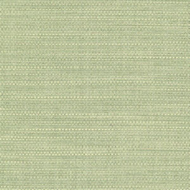 Norbar Fabric Wade Aloe 51 OKIN 100% POLYESTER NORTH AMERICA 54 - My Fabric Connection - Norbar Fabric Wade Aloe 51 OKIN 100% POLYESTER NORTH AMERICA 54 - My Fabric Connection -