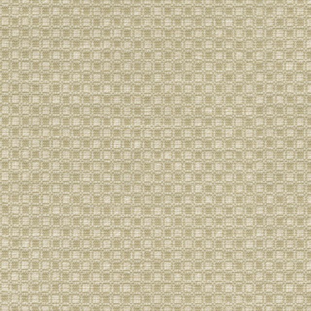 PK Lifestyles Fabric Outside the Box Oat 472212 Expressionist VI 74% Polyester, 26% Cotton India 51000 H: 1, V: 0.875 54 - My Fabric Connection -