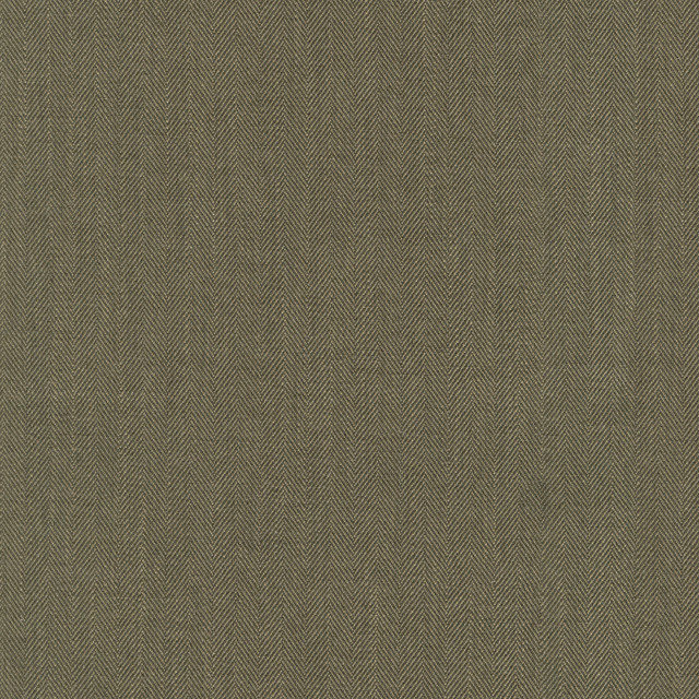 PK Lifestyles Fabric Paxton Woodland 472550 PKL Studio June 2025 Base: 100% Polyester India 51000 H: N/A, V: N/A 55 - My Fabric Connection -