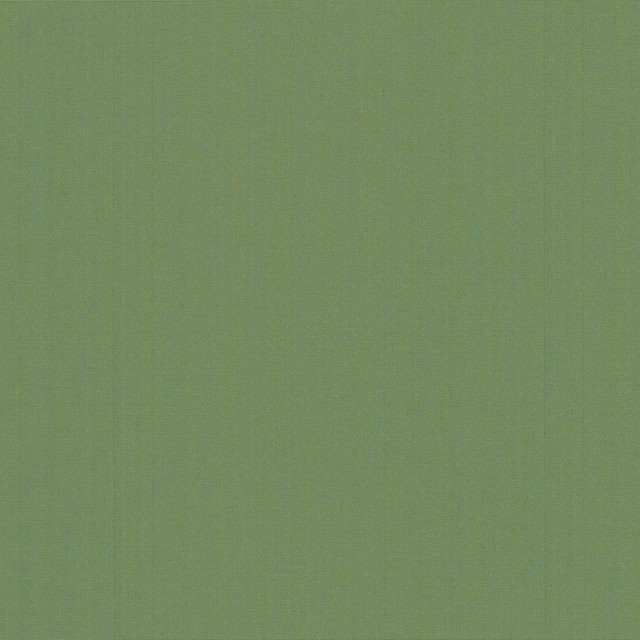 PK Lifestyles Fabric Belcourt Leaf 472725 PKL Studio June 2025 52% Fire Retardant Polyester, 48% Polyester Turkey 18000 H: N/A, V: N/A 57 - My Fabric Connection -