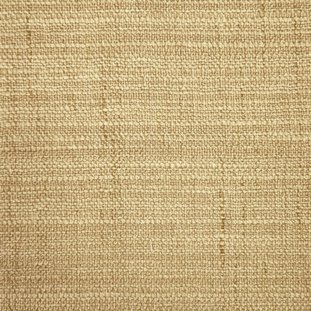 Carole Fabric Notable Brass Best Dressed 95% Polyester, 5% Cotton N/A None 54" - My Fabric Connection -