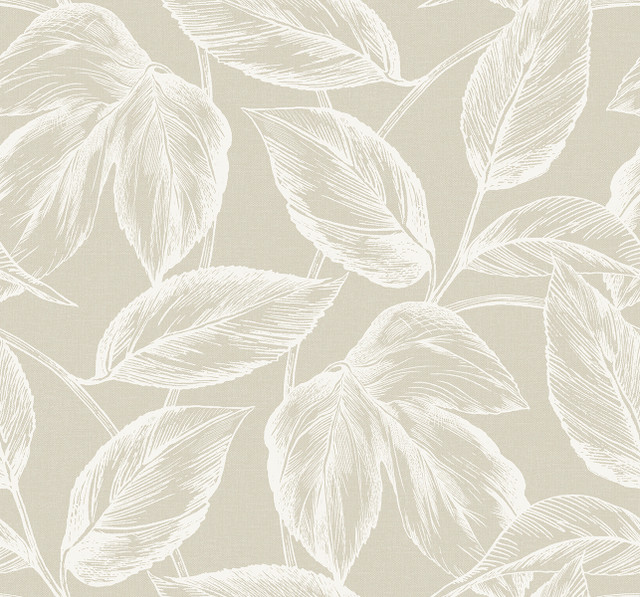 Seabrook Wallpaper Beckett Sketched Leaves Oat Summer House  United States 60.75 25.2" 27"  - My Fabric Connection -