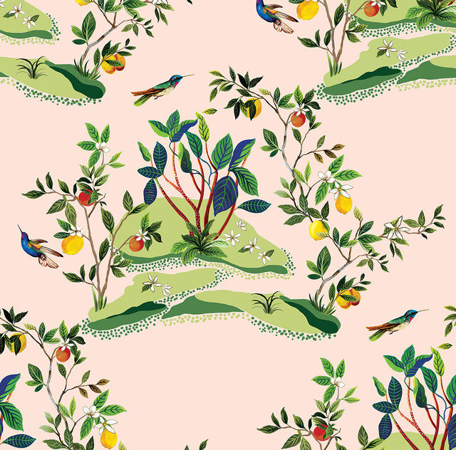 Seabrook Wallpaper Citrus Hummingbird Blush West Boulevard Collection  United States 60.75 27" 27"  - My Fabric Connection -