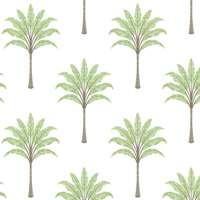 Seabrook Wallpaper Montgomery Palm Green Tea Harry & Grace Peel and Stick  United States 30.75 10.43" 20.5"  - My Fabric Connection -
