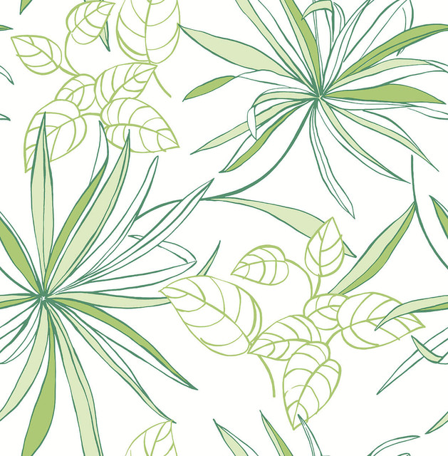 Seabrook Wallpaper Spider Plants Green NextWall Peel & Stick  United States 30.75 20.87" 20.5"  - My Fabric Connection -