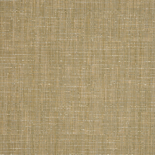 Origin Wasabi by RM CoCo Evolution 51% Cotton 49% Polyester Taiwan Passes 15000 Wyzenbeek Double Rubs Suitable for Medium Use Upholstery H: 0 ,V: 0