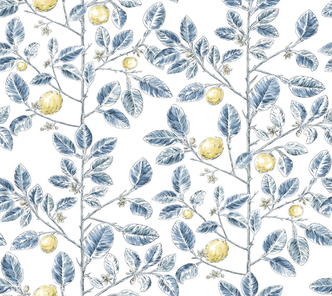 York Wallcoverings Limoncello Toile Blue Wallpaper Toile Resource Library Covers about 60.8 square feet Unpasted 24-in repeat, straight match 27-in by 27-ft long roll - My Fabric Connection -