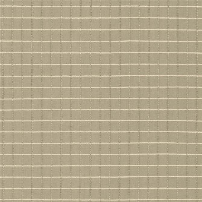 Kasmir Fabric Alder Bark 5092 100% Polyester
 INDIA Not Tested </p><p>Repeat: Horizontal: 4/8 inches and Vertical: 4/8 inches 54 - My Fabric Connection -