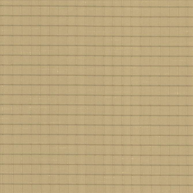 Kasmir Fabric Alder Mustard 5093 100% Polyester
 INDIA Not Tested </p><p>Repeat: Horizontal: 4/8 inches and Vertical: 4/8 inches 54 - My Fabric Connection -