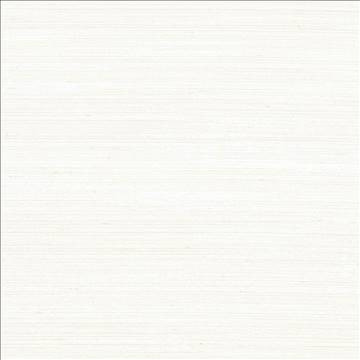 Kasmir Fabric Anantara Off White 5059 100% Polyester INDIA 30,000 Wyzenbeek Double Rubs H: N/A, V: N/A 55 - 56 - My Fabric Connection - Kasmir