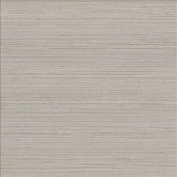 Kasmir Fabric Anantara Pewter 5059 100% Polyester INDIA 30,000 Wyzenbeek Double Rubs H: N/A, V: N/A 55 - 56 - My Fabric Connection - Kasmir