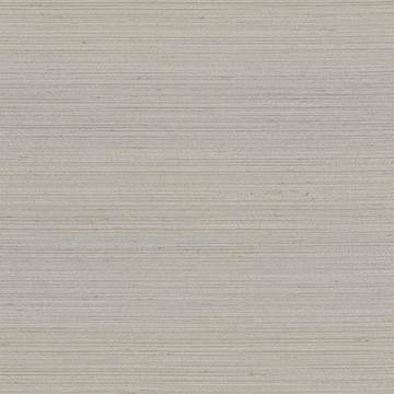 Kasmir Fabric Anantara Pewter 5059 / 43 100% Polyester 30,000 Wyzenbeek Double Rubs </p><p>Repeat: Horizontal: N/A and Vertical: N/A 55 - 56 Inches - My Fabric Connection -