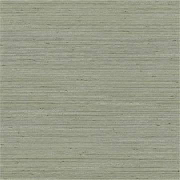 Kasmir Fabric Anantara Silver Sage 5059 100% Polyester INDIA 30,000 Wyzenbeek Double Rubs H: N/A, V: N/A 55 - 56 - My Fabric Connection - Kasmir