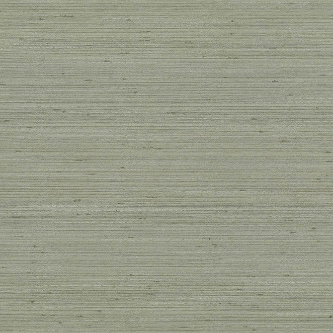 Kasmir Fabric Anantara Silver Sage 5059 100% Polyester
 INDIA </p><p>Repeat: Horizontal: N/A and Vertical: N/A 55 - 56 - My Fabric Connection -