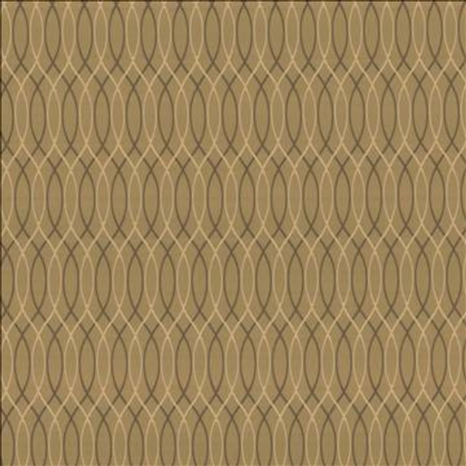 Kasmir Fabric Asher Trellis Truffle 1438 100% Polyester TURKEY 30,000 Wyzenbeek Double Rubs H: 2 2/8 inches, V: 12 2/8 inches 57 - 58 - My Fabric Connection - Kasmir
