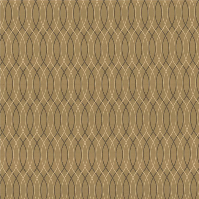 Kasmir Fabric Asher Trellis Truffle 1438 100% Polyester
 TURKEY </p><p>Repeat: Horizontal: 2 2/8 inches and Vertical: 12 2/8 inches 57 - 58 - My Fabric Connection -