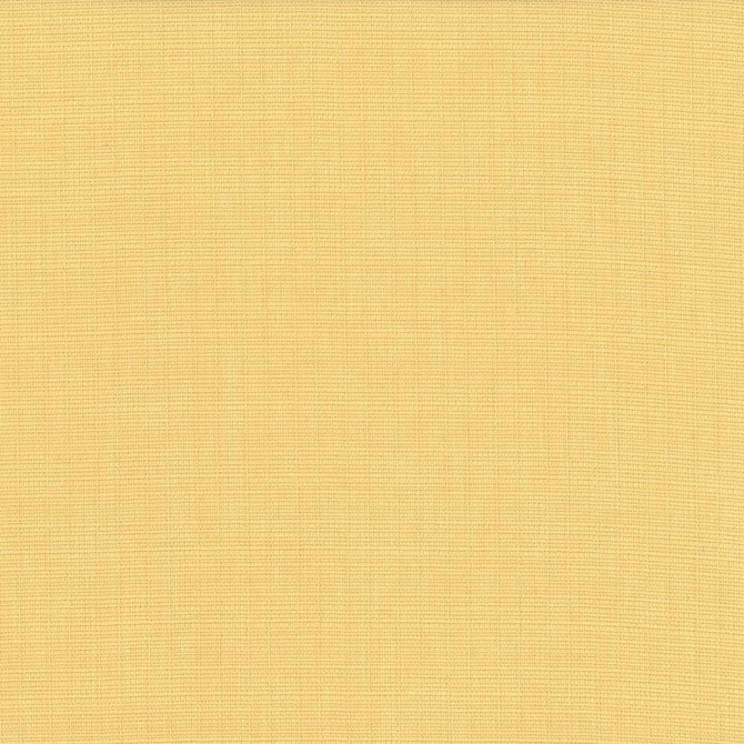 Kasmir Fabric Auberge Champagne 5055 100% Polyester TAIWAN 100,000 Wyzenbeek Double Rubs H: N/A, V:N/A 59 - 60 - My Fabric Connection - Kasmir