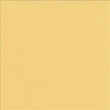 Kasmir Fabric Auberge Champagne 5055 100% Polyester TAIWAN 100,000 Wyzenbeek Double Rubs H: N/A, V: N/A 59 - 60 - My Fabric Connection - Kasmir