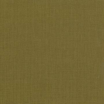 Kasmir Fabric Auberge Olive 5055 / 19 100% Polyester 100,000 Wyzenbeek Double Rubs </p><p>Repeat: Horizontal: N/A and Vertical: N/A 59 - 60 Inches - My Fabric Connection -