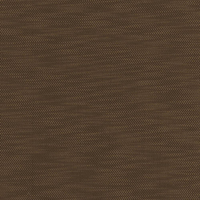 Kasmir Fabric Avino Walnut 5101 64% Cotton 36% Polyester CHINA 50,000 Wyzenbeek Double Rubs H: N/A, V:N/A 55 - My Fabric Connection - Kasmir