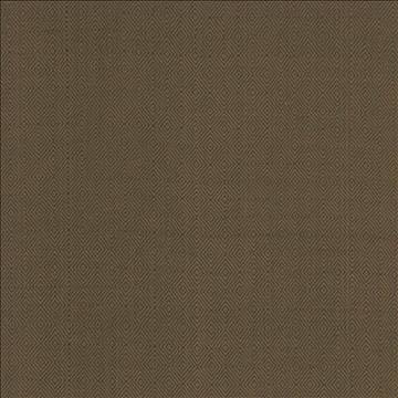 Kasmir Fabric Balducci Ranger 5101 100% Cotton INDIA 12,000 Wyzenbeek Double Rubs H: 1 2/8 inches, V: 1 4/8 inches 54 - 55 - My Fabric Connection - Kasmir