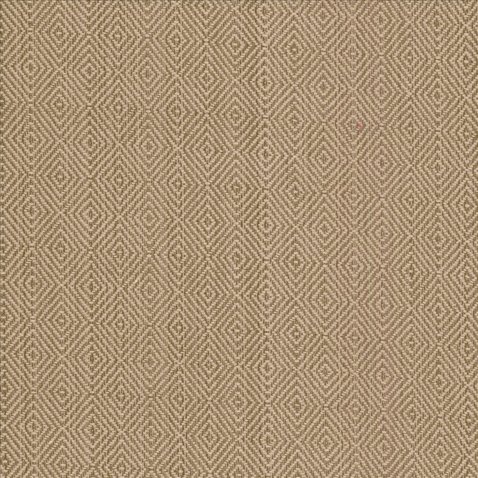 Kasmir Fabric Balducci Teastain See sample 100% Cotton
 INDIA 12,000 Wyzenbeek Double Rubs </p><p>Repeat: Horizontal: 1 2/8 inches and Vertical: 1 4/8 inches 54 - My Fabric Connection -