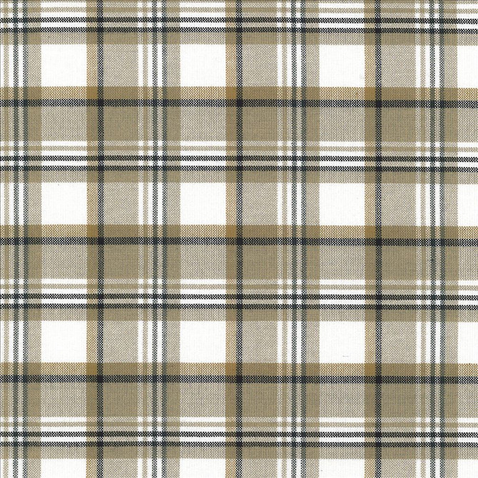 Kasmir Fabric Bardwell Plaid Granite 5066 100% Cotton
 INDIA </p><p>Repeat: Horizontal: 3 inches and Vertical: 3 inches 54 - My Fabric Connection -