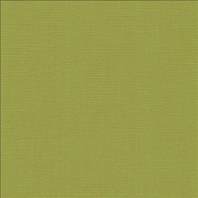 Kasmir Fabric Belgique Fern 1408 100% Linen CHINA 12,000 Martindale Cycles H: N/A, V: N/A 55 - 57 - My Fabric Connection - Kasmir