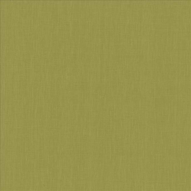 Kasmir Fabric Belgique Fern 5103 100% Linen
 CHINA 12,000 Martindale Cycles </p><p>Repeat: Horizontal: N/A and Vertical: N/A 55 - My Fabric Connection -