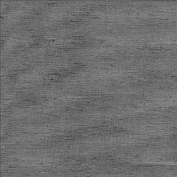 Kasmir Fabric Bharat Charcoal 5101 100% Polyester INDIA 20,000 Martindale Cycles H: N/A, V: N/A 53 - 54 - My Fabric Connection - Kasmir