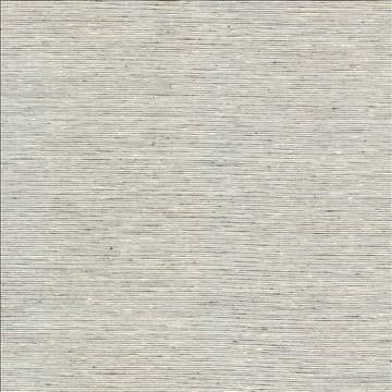 Kasmir Fabric Bharat Fog 5100 100% Polyester INDIA 20,000 Martindale Cycles H: N/A, V: N/A 53 - 54 - My Fabric Connection - Kasmir