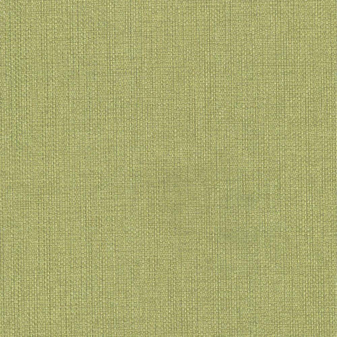 Kasmir Fabric Bolsa Avocado 5053 57% Cotton 43% Polyester TURKEY 87,000 Wyzenbeek Double Rubs H: N/A, V:N/A 55 - My Fabric Connection - Kasmir