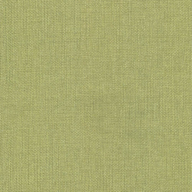 Kasmir Fabric Bolsa Avocado 5053 57% Cotton
43% Polyester
 TURKEY 87,000 Wyzenbeek Double Rubs Horizontal: N/A and Vertical: N/A 55 - My Fabric Connection -