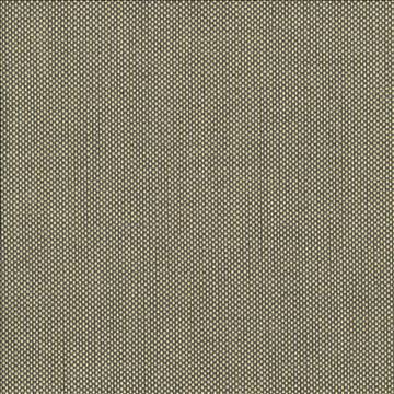 Kasmir Fabric Bolsa Gold 5053 57% Cotton 43% Polyester TURKEY 87,000 Wyzenbeek Double Rubs H: N/A, V: N/A 55 - My Fabric Connection - Kasmir