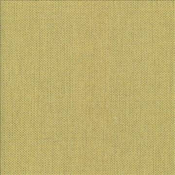 Kasmir Fabric Bolsa Kiwi 5053 57% Cotton 43% Polyester TURKEY 87,000 Wyzenbeek Double Rubs H: N/A, V: N/A 55 - My Fabric Connection - Kasmir